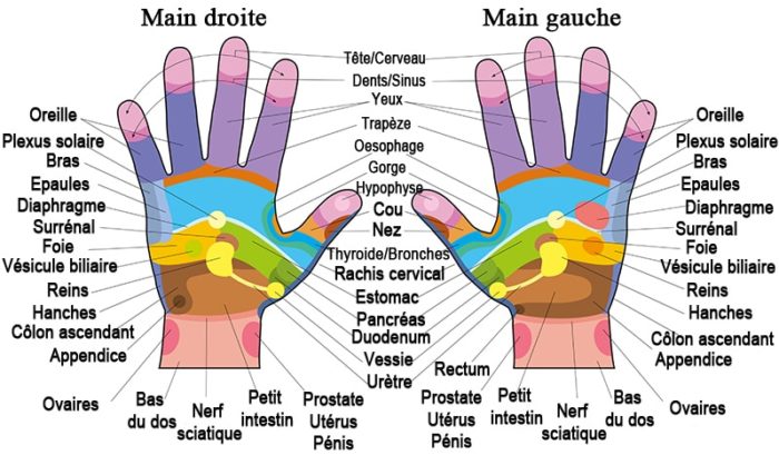 Réflexologie mains centre bien etre cannes-all aethetics-1